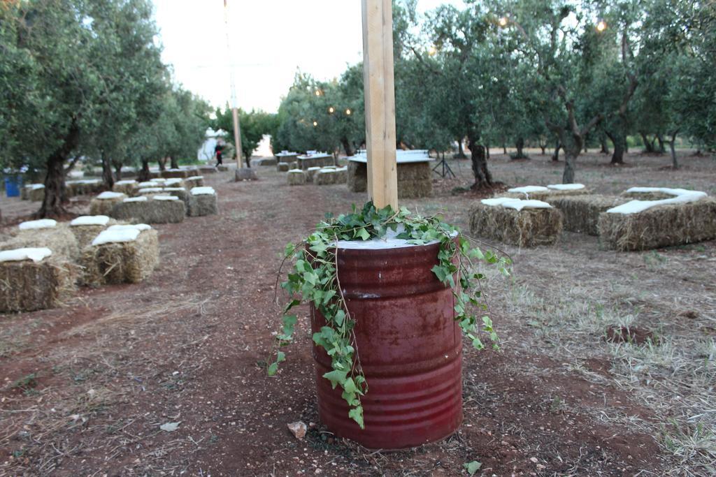 Masseria Casamassima Agriturismo Ostuni Exterior photo